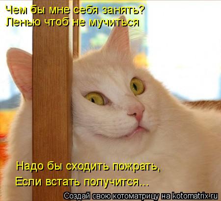 Ленью чтоб не мучиться Чем бы мне себя занять? Надо бы сходить пожрать, Если встать получится...... Котоматрица: Ленью чтоб не мучиться Чем бы мне себя занять? Надо бы сходить пожрать, Если встать получится...