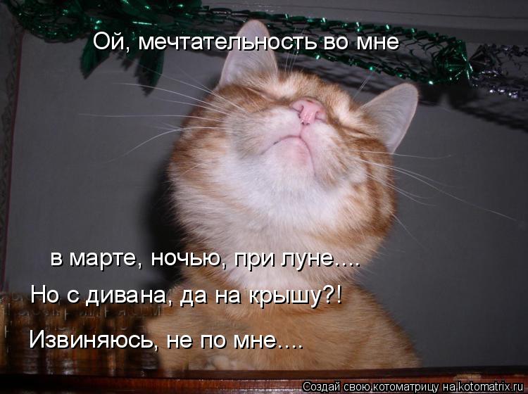 Ой, мечтательность во мне в марте, ночью, при луне.... Но с дивана, да на крышу?! Извиняюсь, не по мн... Котоматрица: Ой, мечтательность во мне в марте, ночью, при луне.... Но с дивана, да на крышу?! Извиняюсь, не по мне....
