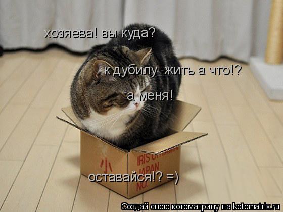 хозяева! вы куда? к дубилу жить а что!? а меня! оставайся!? =)... Котоматрица: хозяева! вы куда? к дубилу жить а что!? а меня! оставайся!? =)
