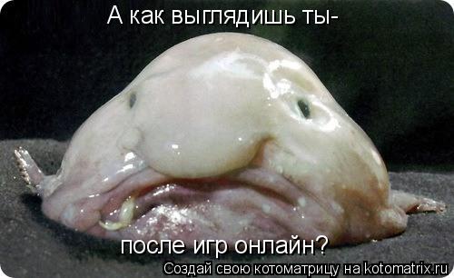 А как выглядишь ты- после игр онлайн?... Котоматрица: А как выглядишь ты- после игр онлайн?