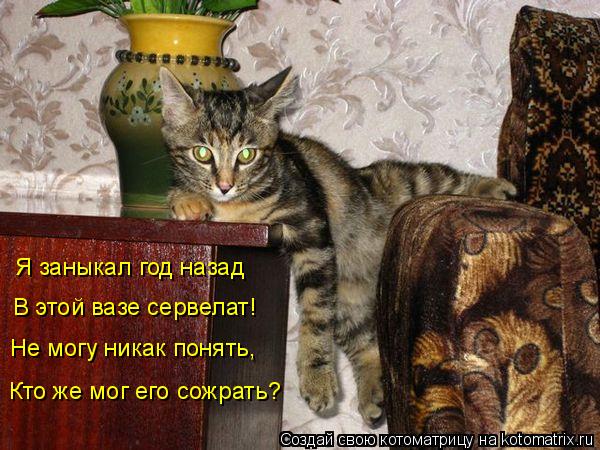Я заныкал год назад В этой вазе сервелат! Не могу никак понять, Кто же мог его сожрать?... Котоматрица: Я заныкал год назад В этой вазе сервелат! Не могу никак понять, Кто же мог его сожрать?