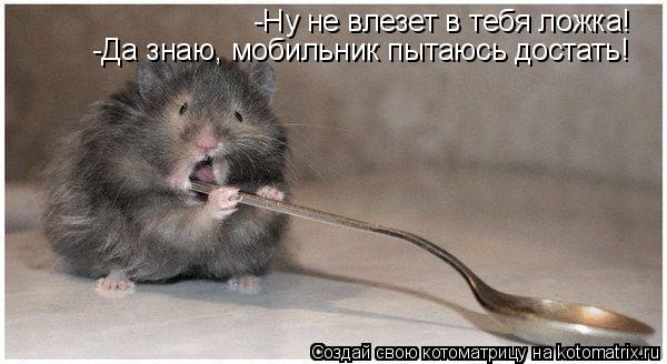 -Ну не влезет в тебя ложка! -Да знаю, мобильник пытаюсь достать!... Котоматрица: -Ну не влезет в тебя ложка! -Да знаю, мобильник пытаюсь достать!
