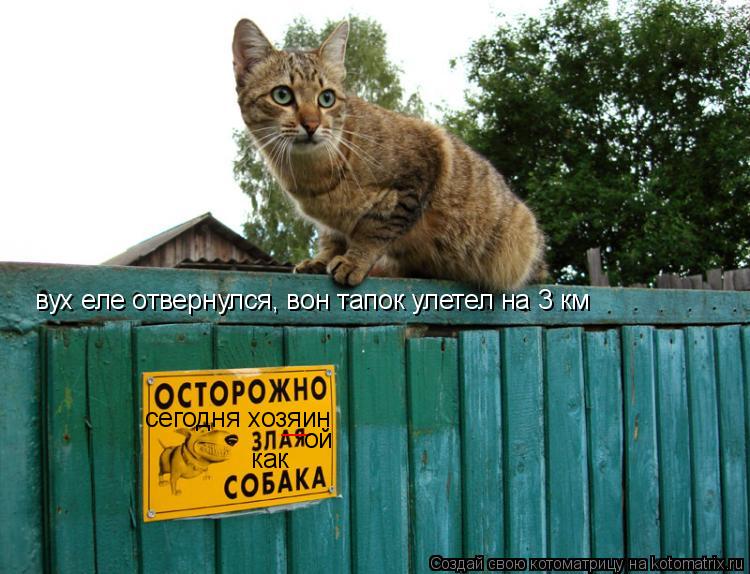 сегодня хозяин __ ой как вух еле отвернулся, вон тапок улетел на 3 км... Котоматрица: сегодня хозяин __ ой как вух еле отвернулся, вон тапок улетел на 3 км