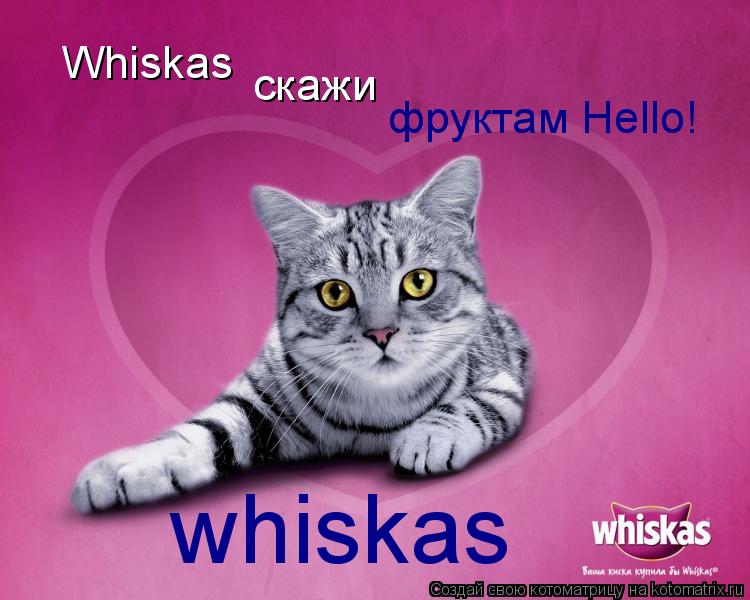 Whiskas скажи фруктам Hello! whiskas... Котоматрица: Whiskas скажи фруктам Hello! whiskas