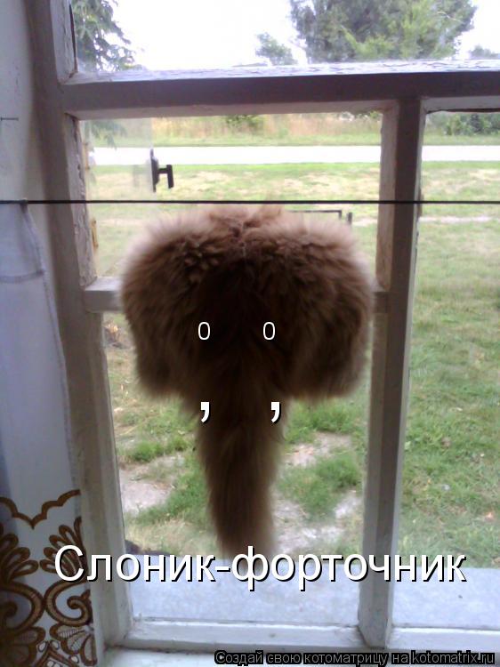 0 0 , , Слоник-форточник... Котоматрица: 0 0 , , Слоник-форточник