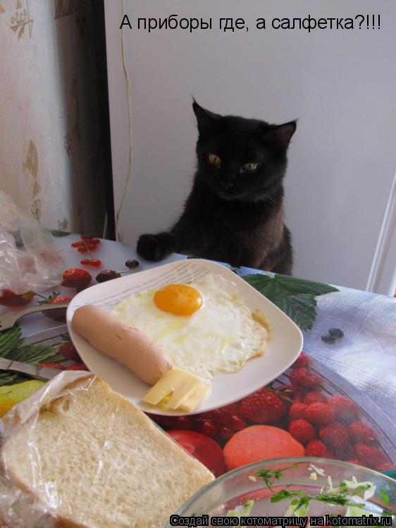 А приборы где, а салфетка?!!!... Котоматрица: А приборы где, а салфетка?!!!