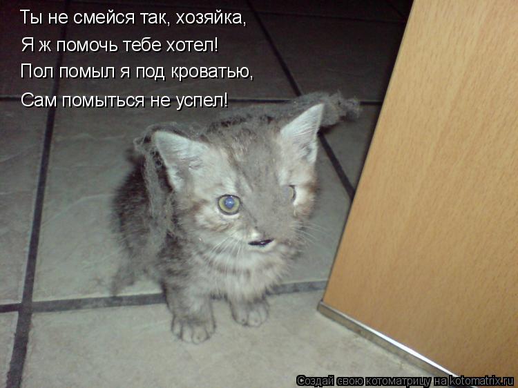 Ты не смейся так, хозяйка, Я ж помочь тебе хотел! Сам помыться не успел! Пол помыл я под кроватью,... Котоматрица: Ты не смейся так, хозяйка, Я ж помочь тебе хотел! Сам помыться не успел! Пол помыл я под кроватью,