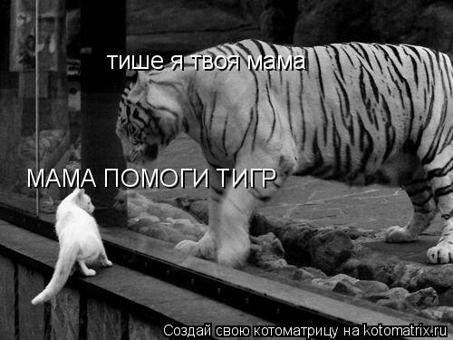 МАМА ПОМОГИ ТИГР тише я твоя мама... Котоматрица: МАМА ПОМОГИ ТИГР тише я твоя мама