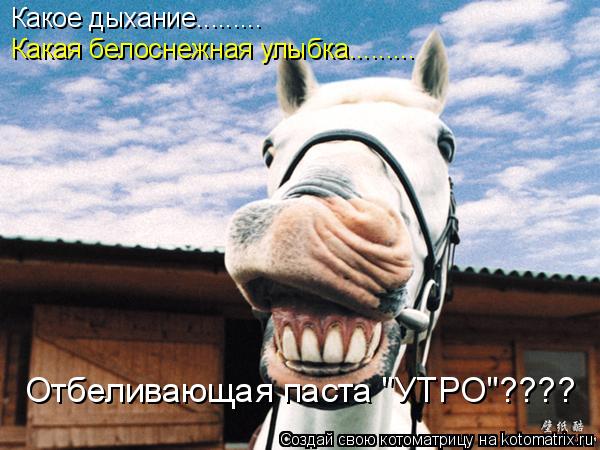 Какое дыхание......... Какая белоснежная улыбка......... Отбеливающая паста "УТРО"????... Котоматрица: Какое дыхание......... Какая белоснежная улыбка......... Отбеливающая паста "УТРО"????