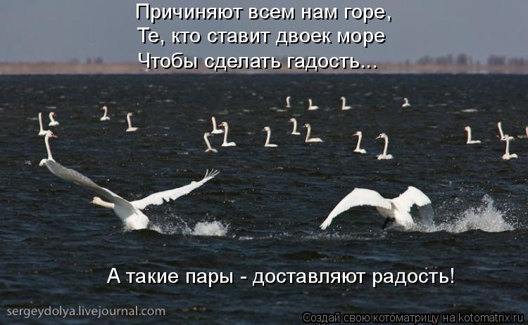 Причиняют всем нам горе, Те, кто ставит двоек море Чтобы сделать гадость... А такие пары - доставляют... Котоматрица: Причиняют всем нам горе, Те, кто ставит двоек море Чтобы сделать гадость... А такие пары - доставляют радость!