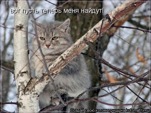 вот пусть теперь меня найдут!... Котоматрица: вот пусть теперь меня найдут!
