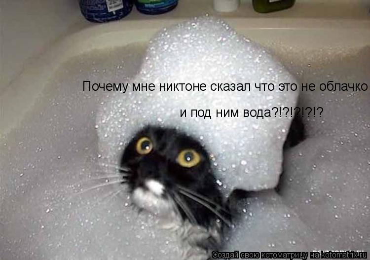 Почему мне никтоне сказал что это не облачко и под ним вода?!?!?!?!?... Котоматрица: Почему мне никтоне сказал что это не облачко и под ним вода?!?!?!?!?