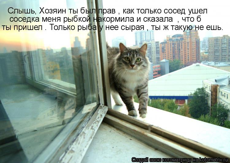 Слышь, Хозяин ты был прав , как только сосед ушел соседка меня рыбкой накормила и сказала , что б ты... Котоматрица: Слышь, Хозяин ты был прав , как только сосед ушел соседка меня рыбкой накормила и сказала , что б ты пришел . Только рыба у нее сырая , ты ж так