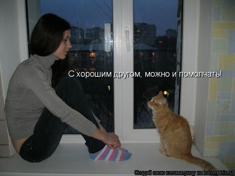 Котоматрица: С хорошим другом, можно и помолчать!