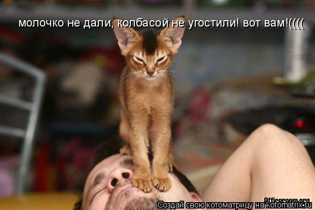 Котоматрица: молочко не дали, колбасой не угостили! вот вам!((((