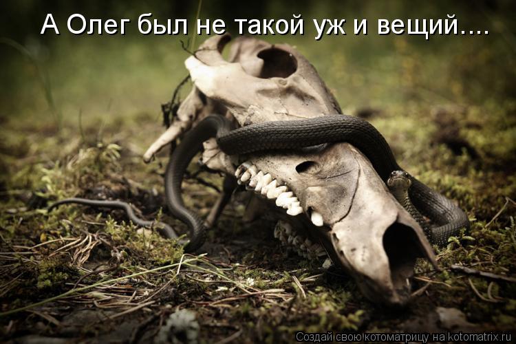 Котоматрица: А Олег был не такой уж и вещий....