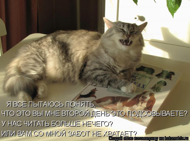 Котоматрица: Я ВСЕ ПЫТАЮСЬ ПОНЯТЬ,  ЧТО ЭТО ВЫ МНЕ ВТОРОЙ ДЕНЬ ЭТО ПОДСОВЫВАЕТЕ? У НАС ЧИТАТЬ БОЛЬШЕ НЕЧЕГО? ИЛИ ВАМ СО МНОЙ ЗАБОТ НЕ ХВАТАЕТ?