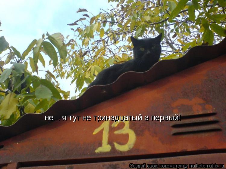 Котоматрица: не... я тут не тринадцатый а первый!