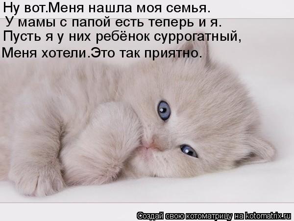 Котоматрица: Ну вот.Меня нашла моя семья. У мамы с папой есть теперь и я. Пусть я у них ребёнок суррогатный, Меня хотели.Это так приятно.