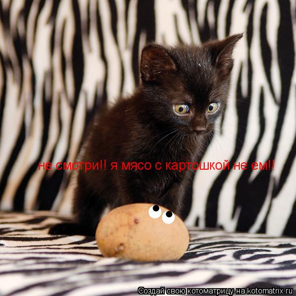 Котоматрица: не смотри!! я мясо с картошкой не ем!!