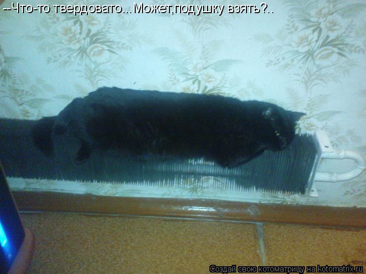 Котоматрица: --Что-то твердовато...Может,подушку взять?..