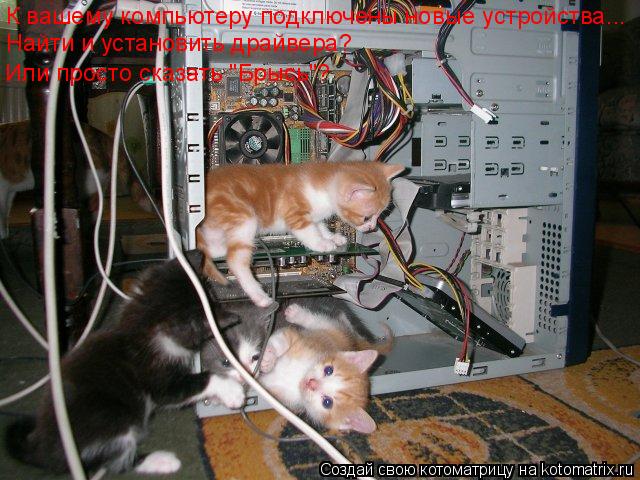 Котоматрица: К вашему компьютеру подключены новые устройства... Найти и установить драйвера? Или просто сказать "Брысь"?