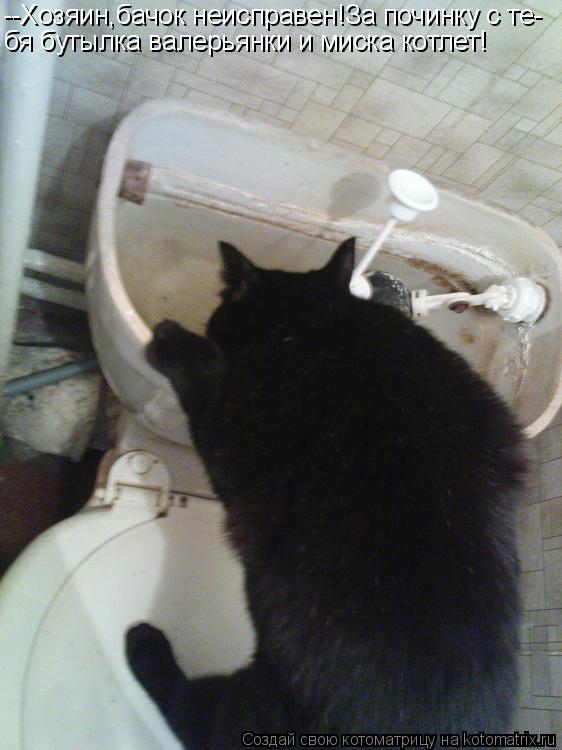 Котоматрица: --Хозяин,бачок неисправен!За починку с те- бя бутылка валерьянки и миска котлет!