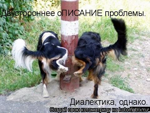 Котоматрица: Двустороннее оПИСАНИЕ проблемы. Диалектика, однако.