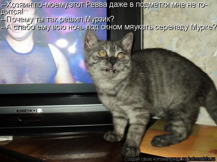 Котоматрица: --Хозяин,по-моему,этот Ревва даже в подмётки мне не го- дится! --Почему ты так решил,Мурзик? --А слабо ему всю ночь под окном мяукать серенаду Му