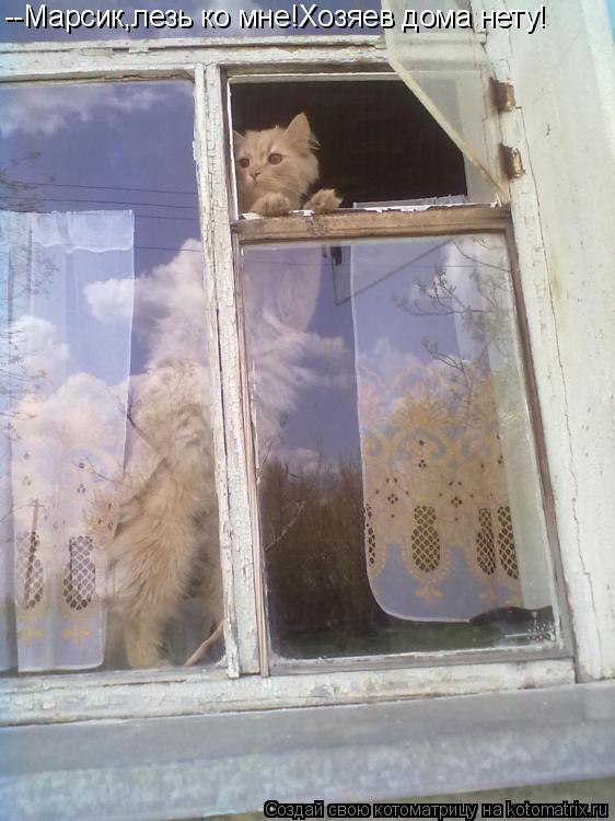 Котоматрица: --Марсик,лезь ко мне!Хозяев дома нету!
