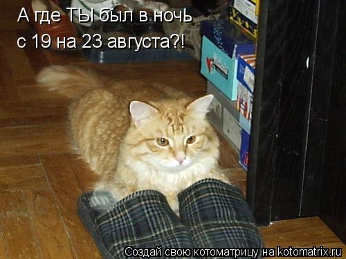 Котоматрица: с 19 на 23 августа?! А где ТЫ был в ночь