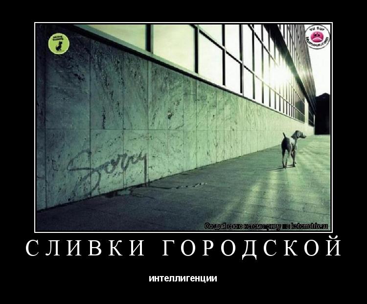 Сливки городской интеллигенции... Котоматрица: Сливки городской интеллигенции