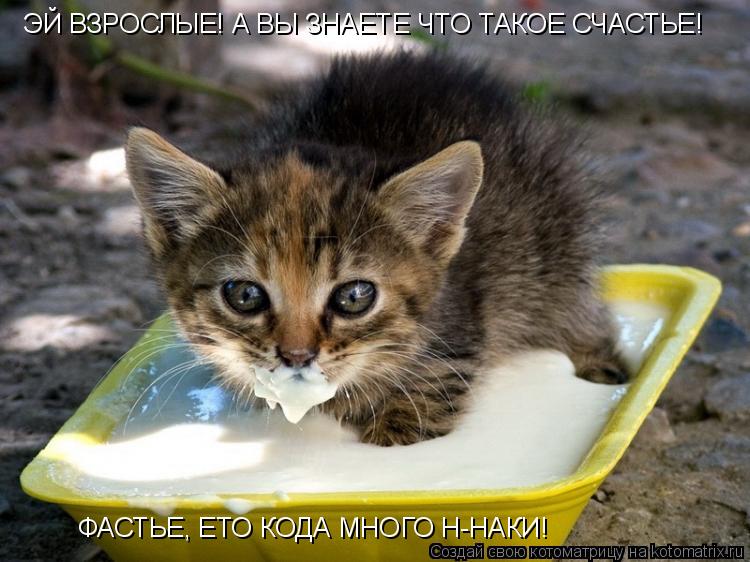 ЭЙ ВЗРОСЛЫЕ! А ВЫ ЗНАЕТЕ ЧТО ТАКОЕ СЧАСТЬЕ! ФАСТЬЕ, ЕТО КОДА МНОГО Н-НАКИ!... Котоматрица: ЭЙ ВЗРОСЛЫЕ! А ВЫ ЗНАЕТЕ ЧТО ТАКОЕ СЧАСТЬЕ! ФАСТЬЕ, ЕТО КОДА МНОГО Н-НАКИ!