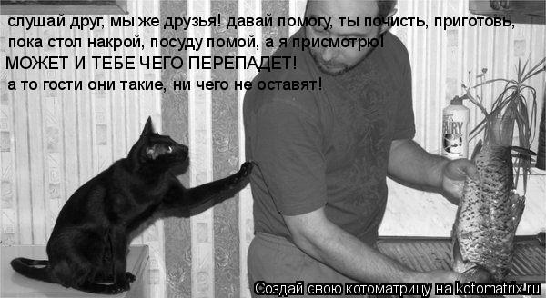 слушай друг, мы же друзья! давай помогу, ты почисть, приготовь, пока стол накрой, посуду помой, а я п... Котоматрица: слушай друг, мы же друзья! давай помогу, ты почисть, приготовь, пока стол накрой, посуду помой, а я присмотрю! МОЖЕТ И ТЕБЕ ЧЕГО ПЕРЕПАДЕТ! а то