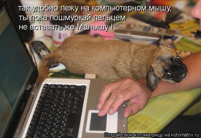 Котоматрица: так удобно лежу на компьютерном мышу, ты пока пошмуркай пальцем не вставать же Малышу !