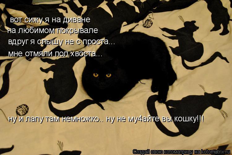 Котоматрица: вот сижу я на диване на любимом покрывале вдруг я слышу не с проста... мне отмяли пол хвоста... ну и лапу там немножко.. ну не му4айте вы кошку!!!