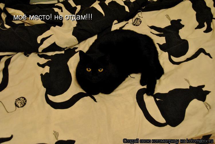 Котоматрица: моё место! не отдам!!!