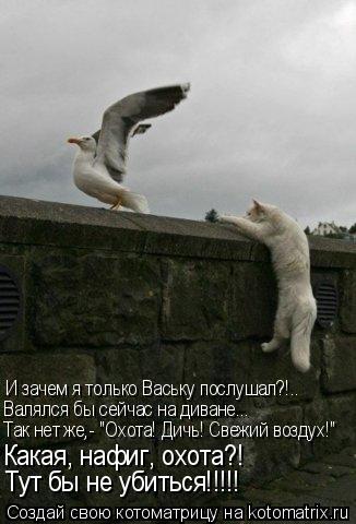 Котоматрица: И зачем я только Ваську послушал?!.. Валялся бы сейчас на диване... Так нет же,- "Охота! Дичь! Свежий воздух!" Какая, нафиг, охота?!  Тут бы не убить