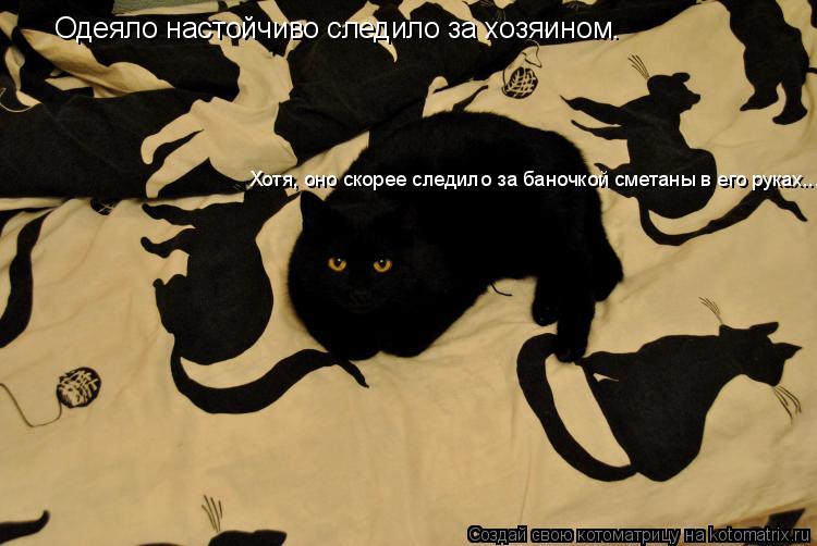 Одеяло настойчиво следило за хозяином. Хотя, оно скорее следило за баночкой сметаны в его руках...... Котоматрица: Одеяло настойчиво следило за хозяином. Хотя, оно скорее следило за баночкой сметаны в его руках...