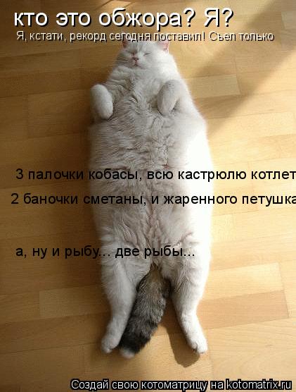 Котоматрица: кто это обжора? Я?  Я, кстати, рекорд сегодня поставил! Съел только  3 палочки кобасы, всю кастрюлю котлет,  2 баночки сметаны, и жаренного петуш