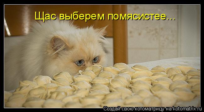 Котоматрица: Щас выберем помясистее...