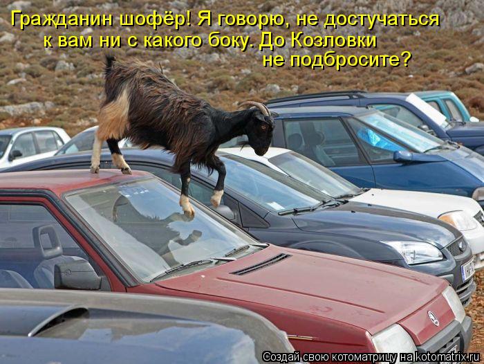 Котоматрица: Гражданин шофёр! Я говорю, не достучаться к вам ни с какого боку. До Козловки не подбросите?