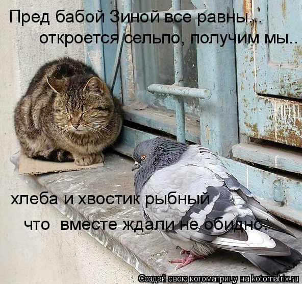 Котоматрица: Пред бабой Зиной все равны... откроется сельпо, получим мы.. хлеба и хвостик рыбный что  вместе ждали не обидно.