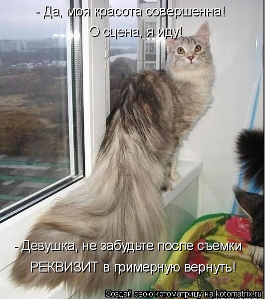 Котоматрица: - Девушка, не забудьте после съемки О сцена, я иду! РЕКВИЗИТ в гримерную вернуть! - Да, моя красота совершенна!