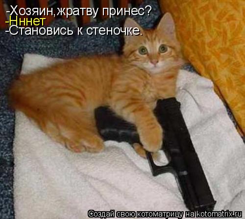 Котоматрица: -Хозяин,жратву принес? -Нннет -Становись к стеночке.