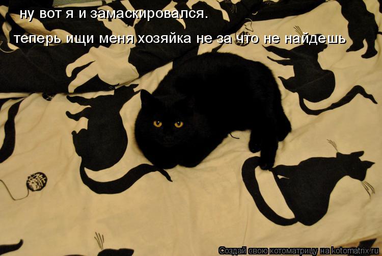 Котоматрица: ну вот я и замаскировался.  теперь ищи меня хозяйка не за что не найдешь