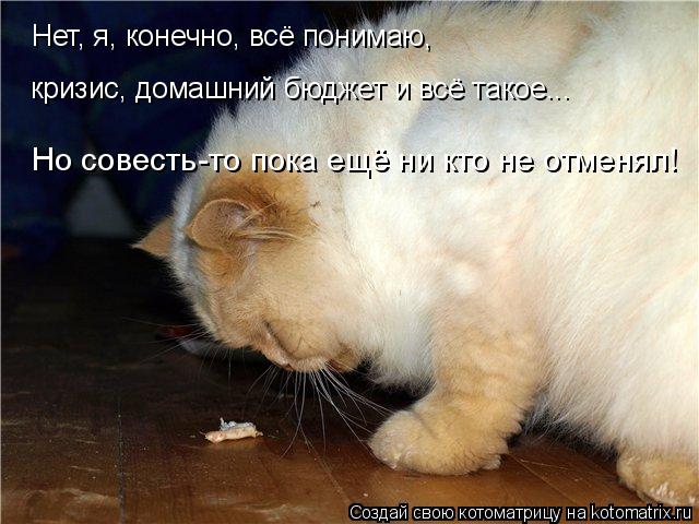 Котоматрица: Нет, я, конечно, всё понимаю, кризис, домашний бюджет и всё такое... Но совесть-то пока ещё ни кто не отменял!