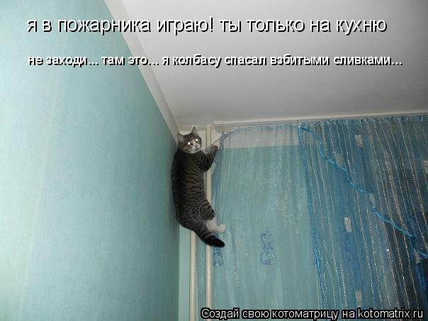 Котоматрица: я в пожарника играю! ты только на кухню  не заходи... там это... я колбасу спасал взбитыми сливками...