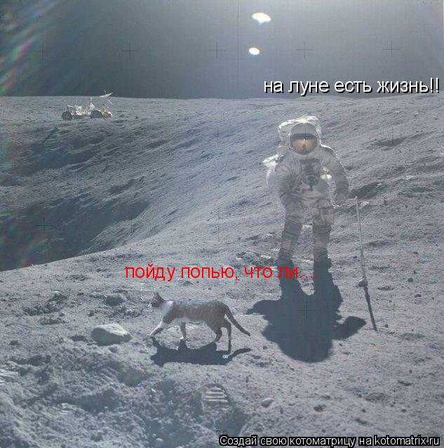 Котоматрица: на луне есть жизнь!! пойду попью, что ли....