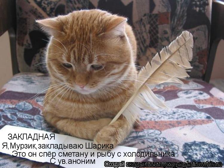 ЗАКЛАДНАЯ Я,Мурзик,закладываю Шарика Это он спёр сметану и рыбу с холодильника С ув.аноним... Котоматрица: ЗАКЛАДНАЯ Я,Мурзик,закладываю Шарика Это он спёр сметану и рыбу с холодильника С ув.аноним